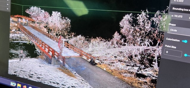 LIDAR image of bridge.