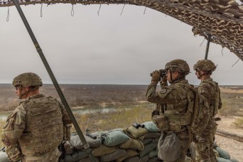 Securing the Homeland