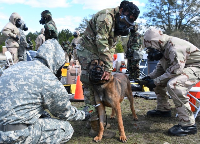 Fort Bragg Welcomes Dog Days of Spring
