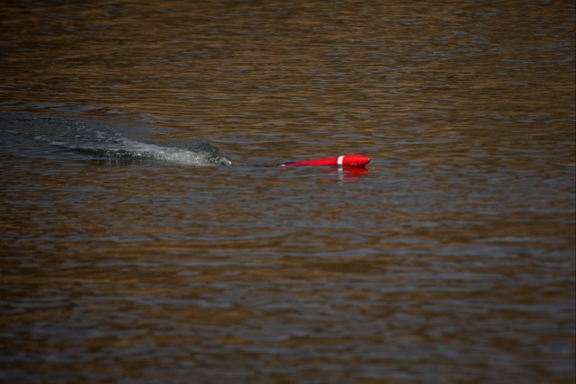 Aquatic drone training (Freedom Shield 25)