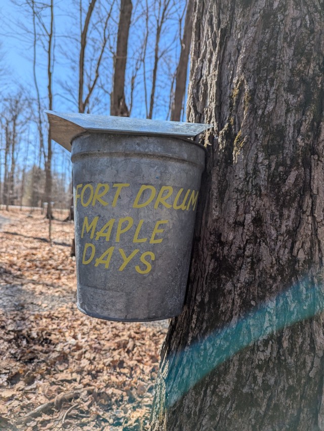 Fort Drum community members tap into a sweet tradition during Maple Days