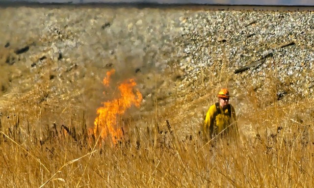 Members of the Fort McCoy prescribed burn team oversee a prescribed burn March 13, 2025, on South Post at Fort McCoy, Wis. The post prescribed burn team includes personnel with the Fort McCoy Directorate of Emergency Services Fire Department;...