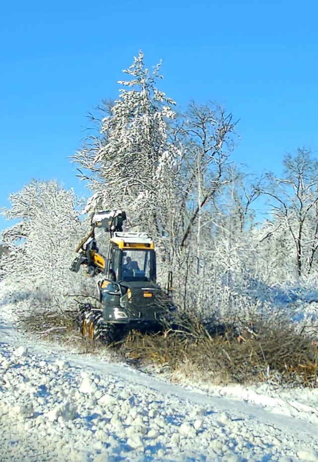 A logger works on a harvest March 20, 2025, at Fort McCoy, Wis. Timber sales are administered by the Omaha District of the Army Corps of Engineers and are sold by sealed bid. Timber sale bidding is held once each year, typically in December....