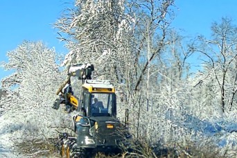 Fort McCoy timber harvest improves training capabilities, environment for training