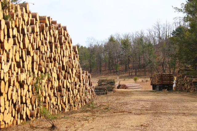 Logs are shown in piles on North Post on March 14, 2025, at Fort McCoy, Wis. The logs were part of a timber harvest. Timber sales are administered by the Omaha District of the Army Corps of Engineers and are sold by sealed bid. Timber sale bidding...