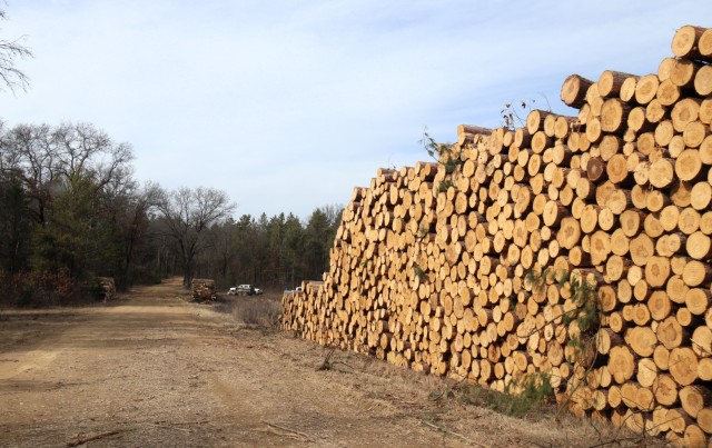 Logs are shown in piles on North Post on March 14, 2025, at Fort McCoy, Wis. The logs were part of a timber harvest. Timber sales are administered by the Omaha District of the Army Corps of Engineers and are sold by sealed bid. Timber sale bidding...