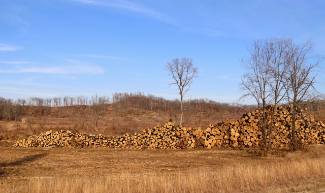 Logs are shown in piles on North Post on March 3, 2025, at Fort McCoy, Wis. The logs were part of a timber harvest. Timber sales are administered by the Omaha District of the Army Corps of Engineers and are sold by sealed bid. Timber sale bidding...