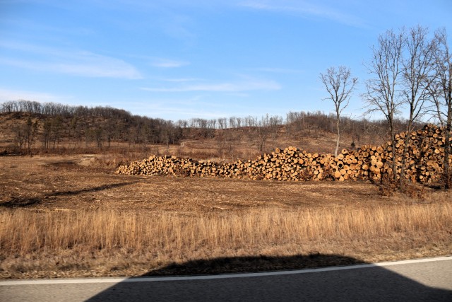 Logs are shown in piles on North Post on March 3, 2025, at Fort McCoy, Wis. The logs were part of a timber harvest. Timber sales are administered by the Omaha District of the Army Corps of Engineers and are sold by sealed bid. Timber sale bidding...