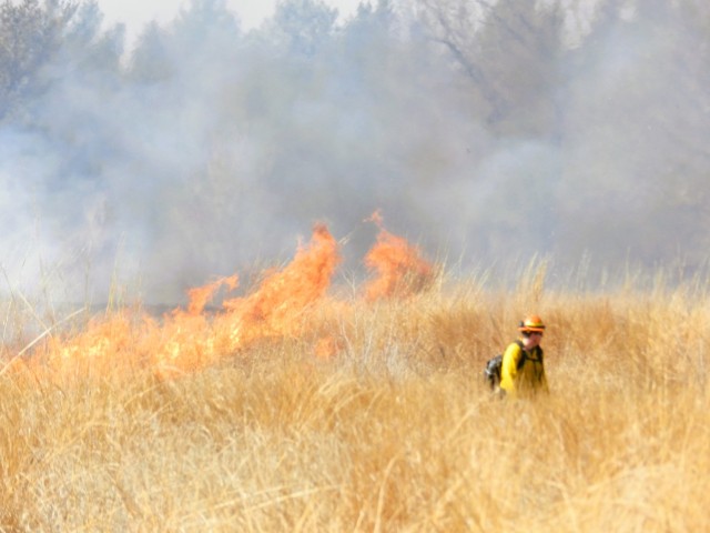 Members of the Fort McCoy prescribed burn team oversee a prescribed burn March 13, 2025, on South Post at Fort McCoy, Wis. The post prescribed burn team includes personnel with the Fort McCoy Directorate of Emergency Services Fire Department;...