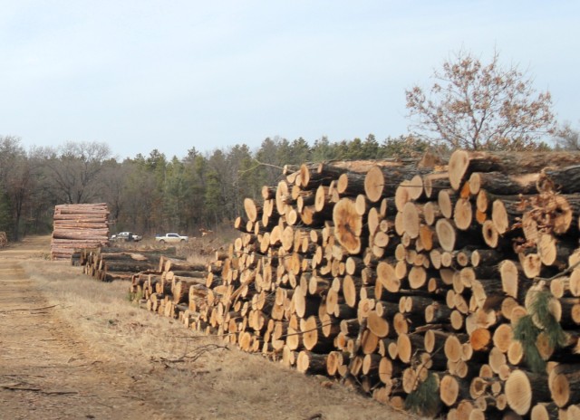Logs are shown in piles on North Post on March 14, 2025, at Fort McCoy, Wis. The logs were part of a timber harvest. Timber sales are administered by the Omaha District of the Army Corps of Engineers and are sold by sealed bid. Timber sale bidding...