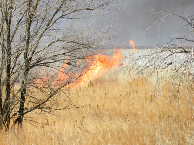 Members of the Fort McCoy prescribed burn team oversee a prescribed burn March 13, 2025, on South Post at Fort McCoy, Wis. The post prescribed burn team includes personnel with the Fort McCoy Directorate of Emergency Services Fire Department;...