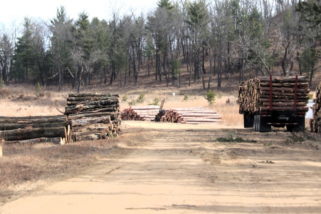 Logs are shown in piles on North Post on March 14, 2025, at Fort McCoy, Wis. The logs were part of a timber harvest. Timber sales are administered by the Omaha District of the Army Corps of Engineers and are sold by sealed bid. Timber sale bidding...