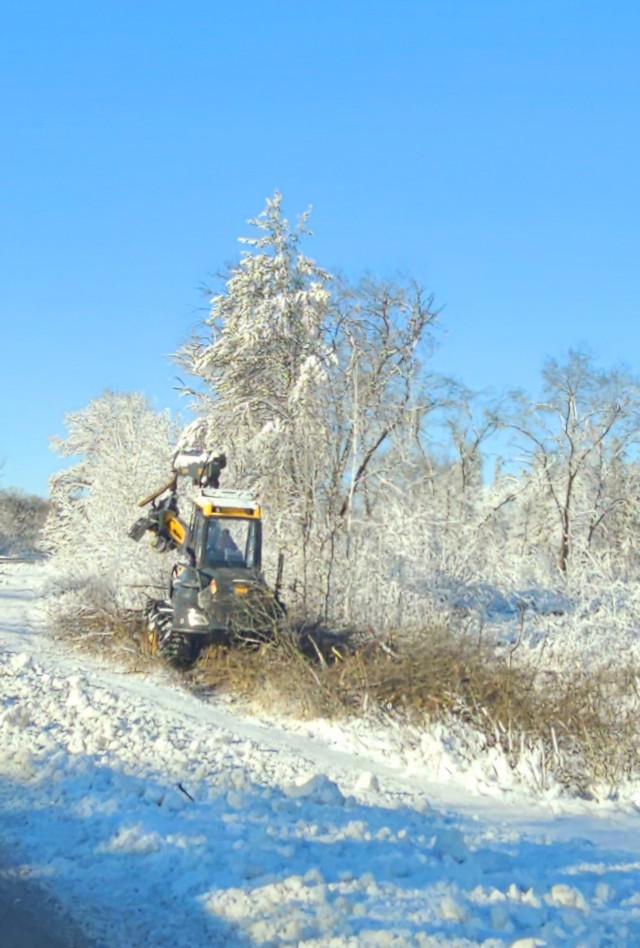 A logger works on a harvest March 20, 2025, at Fort McCoy, Wis. Timber sales are administered by the Omaha District of the Army Corps of Engineers and are sold by sealed bid. Timber sale bidding is held once each year, typically in December....
