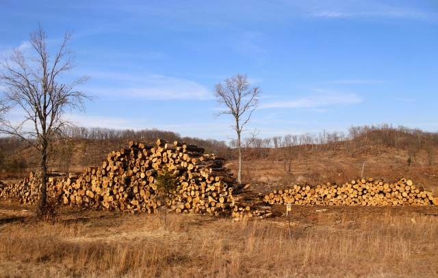 Logs are shown in piles on North Post on March 3, 2025, at Fort McCoy, Wis. The logs were part of a timber harvest. Timber sales are administered by the Omaha District of the Army Corps of Engineers and are sold by sealed bid. Timber sale bidding...