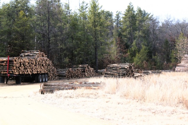 Logs are shown in piles on North Post on March 14, 2025, at Fort McCoy, Wis. The logs were part of a timber harvest. Timber sales are administered by the Omaha District of the Army Corps of Engineers and are sold by sealed bid. Timber sale bidding...