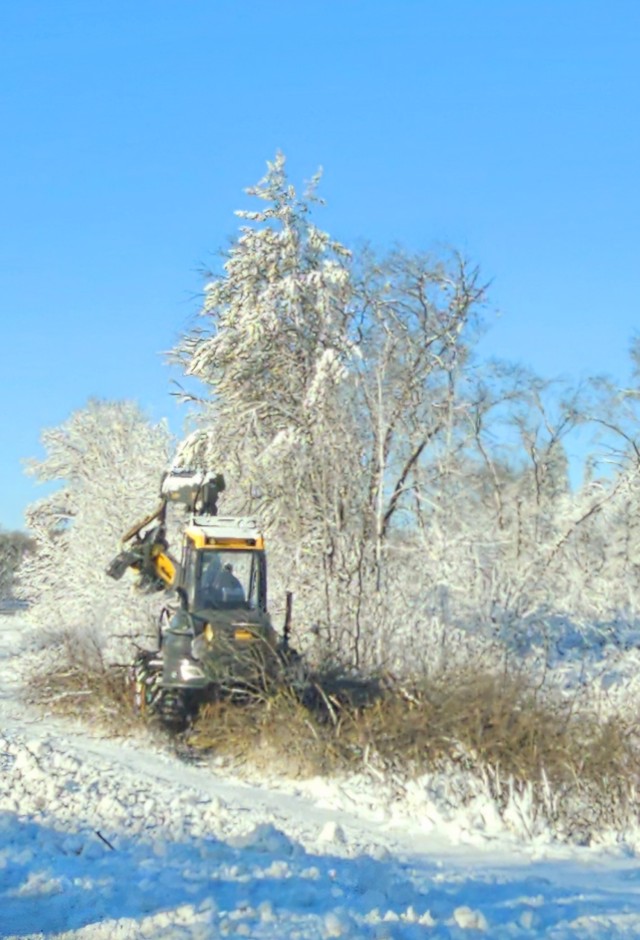 A logger works on a harvest March 20, 2025, at Fort McCoy, Wis. Timber sales are administered by the Omaha District of the Army Corps of Engineers and are sold by sealed bid. Timber sale bidding is held once each year, typically in December....