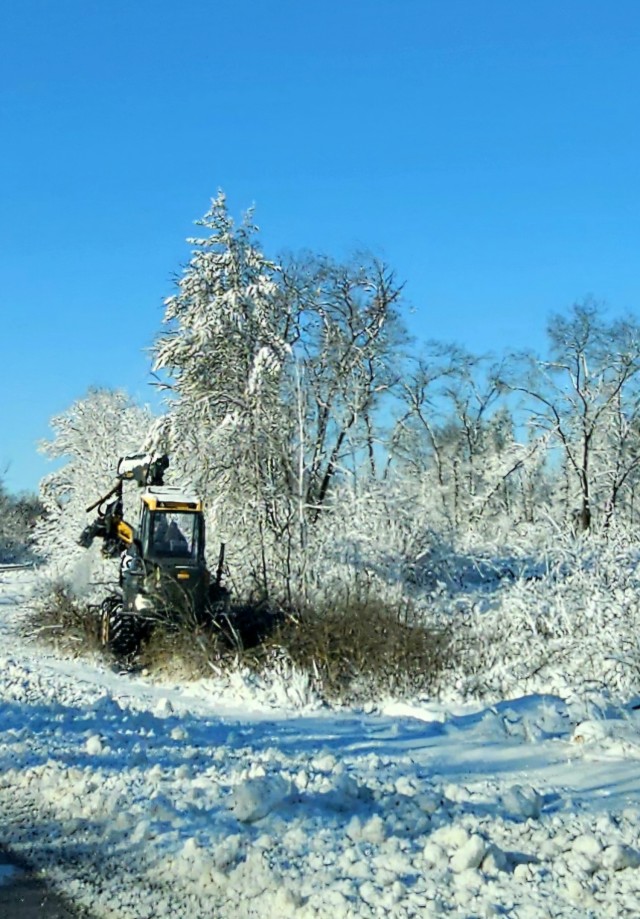 A logger works on a harvest March 20, 2025, at Fort McCoy, Wis. Timber sales are administered by the Omaha District of the Army Corps of Engineers and are sold by sealed bid. Timber sale bidding is held once each year, typically in December....