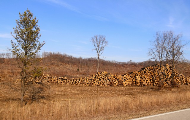 Logs are shown in piles on North Post on March 3, 2025, at Fort McCoy, Wis. The logs were part of a timber harvest. Timber sales are administered by the Omaha District of the Army Corps of Engineers and are sold by sealed bid. Timber sale bidding...