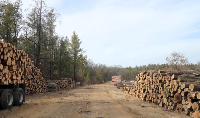 Logs are shown in piles on North Post on March 14, 2025, at Fort McCoy, Wis. The logs were part of a timber harvest. Timber sales are administered by the Omaha District of the Army Corps of Engineers and are sold by sealed bid. Timber sale bidding...