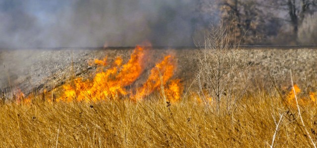 Members of the Fort McCoy prescribed burn team oversee a prescribed burn March 13, 2025, on South Post at Fort McCoy, Wis. The post prescribed burn team includes personnel with the Fort McCoy Directorate of Emergency Services Fire Department;...