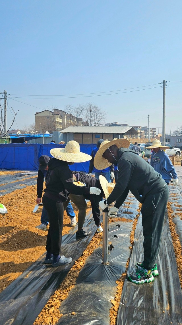We Grow Together - Camp Humphreys community builds bonds by planting potatoes