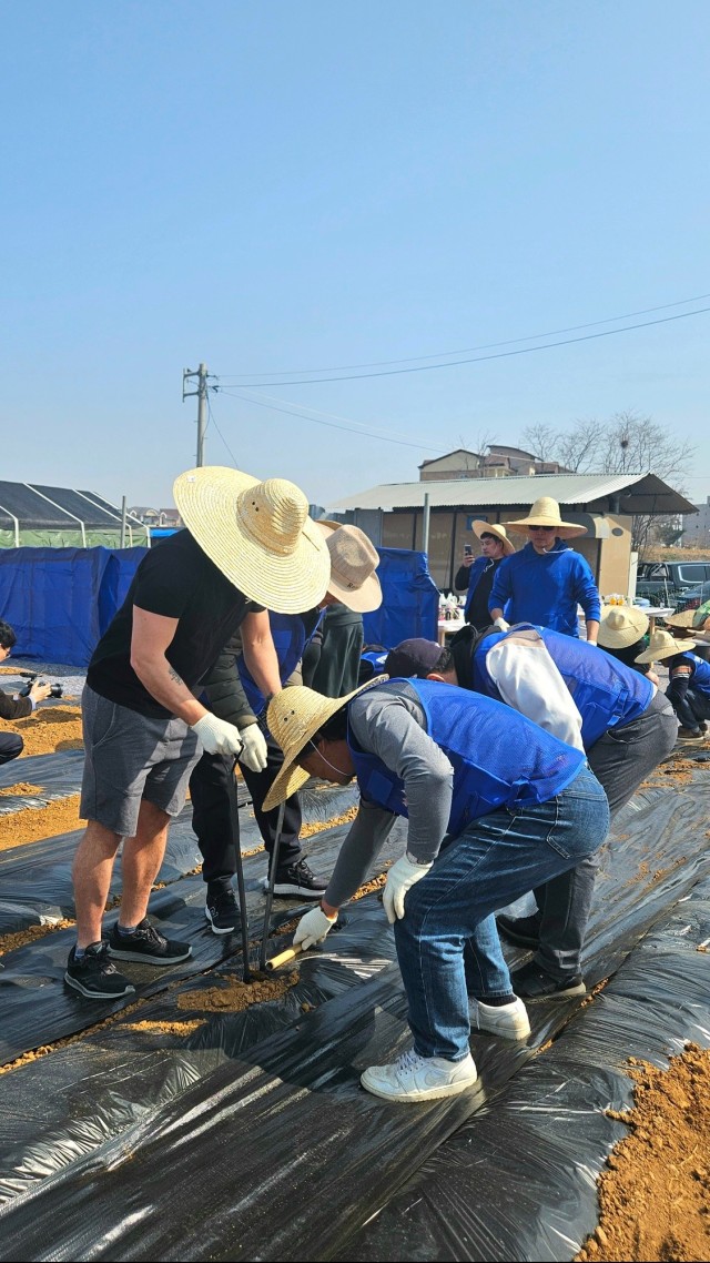 We Grow Together - Camp Humphreys community builds bonds by planting potatoes