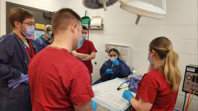 Animal Tech Training Aims to Boost Retention, Readiness