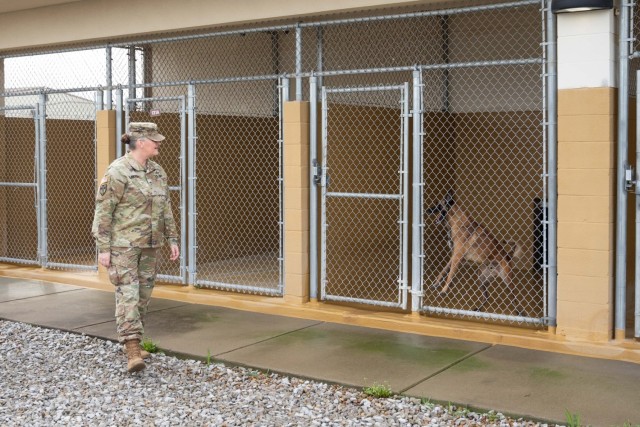 Leading the Pack: 510th MP Detachment Wins Bandholtz Award