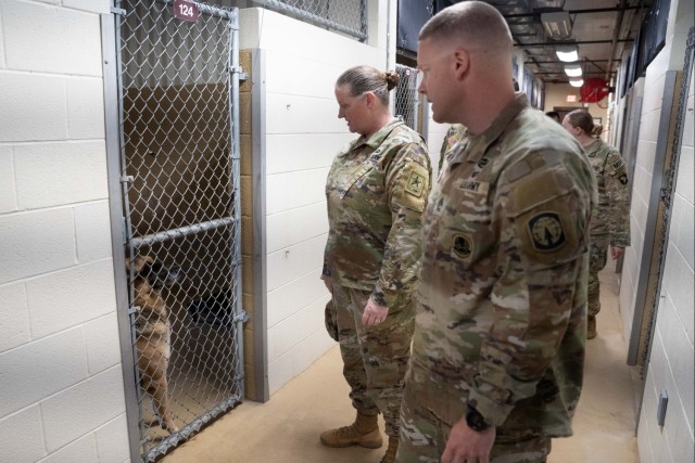 Leading the Pack: 510th MP Detachment Wins Bandholtz Award
