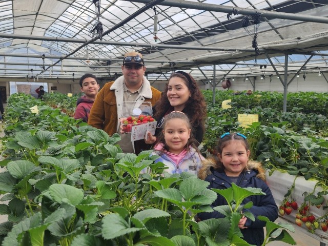 K-16 community members pick strawberries at a local farm as part of a cultural tour, March 29, 2025. ...