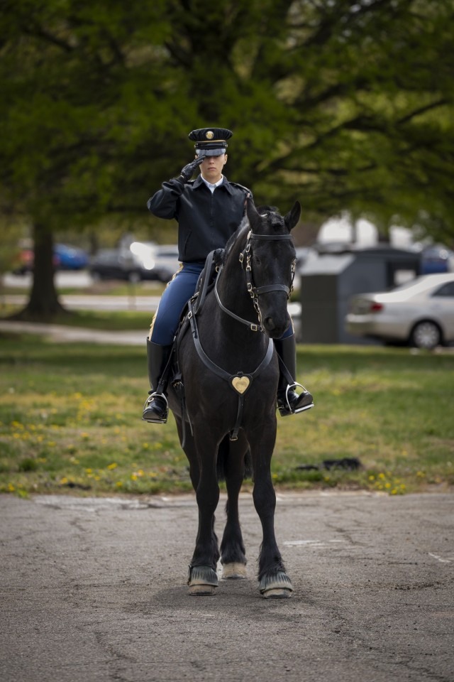 Sgt. Natalee J. Silva, an Infantryman (11B) assigned to Caisson Detachment, 3d U.S. Infantry Regiment (The Old Guard), Military District of Washington, salutes during a Military Full Honors Escort (MFHE) validation, Fort Myer, Va., April. 10,...