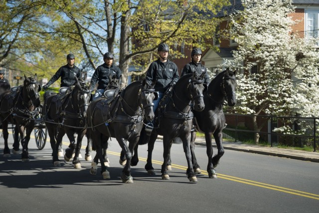 Soldiers and horses assigned to Caisson Detachment, 3d U.S. Infantry Regiment (The Old Guard), Military District of Washington, walk along the historic streets of Fort Myer, Virginia to conduct joint training for funeral services on April 9, 2025....