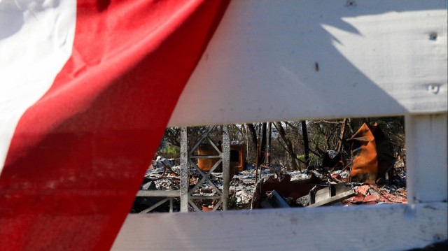 Positive signs amid destruction