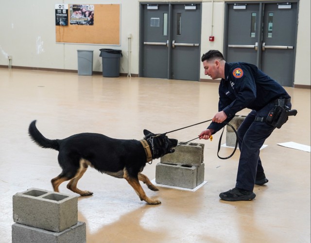 Fort Hamilton Hosts Multi-Agency K-9 Training Event