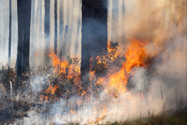 Fort Stewart and NASA ignite new possibilities through prescribed burn study