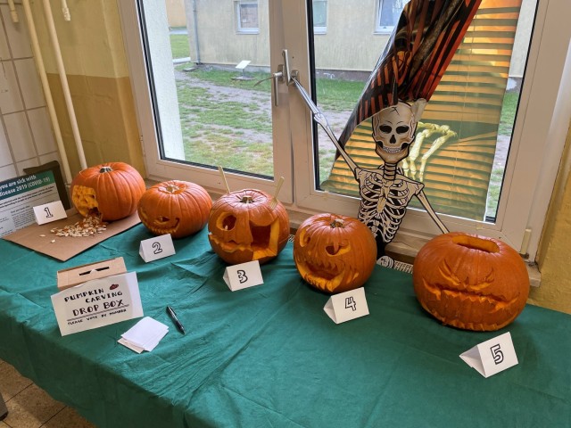 Soldiers line up their pumpkins for pumpkin carving contest.