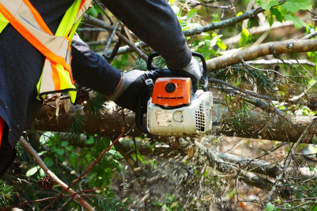 Contractors working under the direction of the U.S. Army Corps of Engineers clear storm debris from Hurricane Helene at the Boy Scouts of America's Camp Grimes in McDowell County, North Carolina, April 18, 2025. The removal effort is part of a...