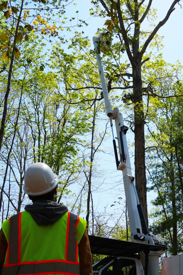 Contractors working under the direction of the U.S. Army Corps of Engineers clear storm debris from Hurricane Helene at the Boy Scouts of America's Camp Grimes in McDowell County, North Carolina, April 18, 2025. The removal effort is part of a...