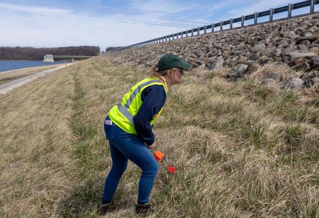 Civil Engineer Julia Swanson placing a marker on a suspected animal burrow while inspecting the upstream embankment for structural integrity.