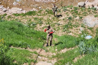 Virginia Guard Soldiers, Tajikistan Conduct Battle Exchange Training
