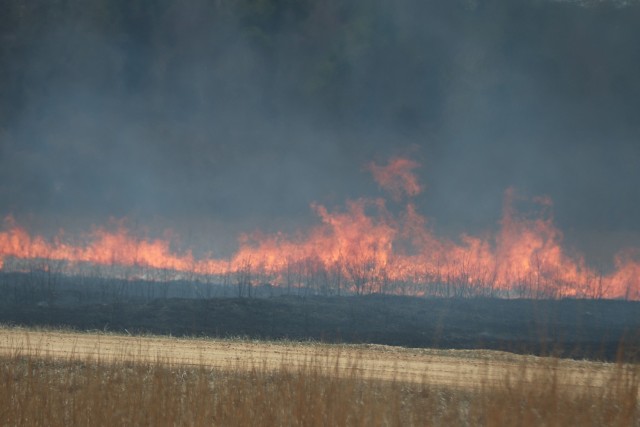 Members of the Fort McCoy prescribed burn team oversee a prescribed burn April 23, 2025, on Badger Drop Zone on South Post at Fort McCoy, Wis. The post prescribed burn team includes personnel with the Fort McCoy Directorate of Emergency Services...