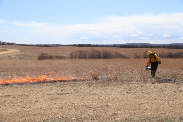 Members of the Fort McCoy prescribed burn team oversee a prescribed burn April 23, 2025, on Badger Drop Zone on South Post at Fort McCoy, Wis. The post prescribed burn team includes personnel with the Fort McCoy Directorate of Emergency Services...