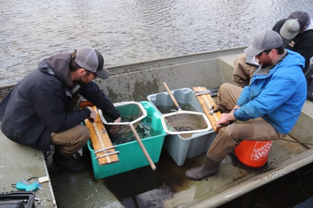 Watershed Management Biologist Derek Maki and Watershed Management Specialists Jaden Gallardo and Trenton Foreman with Colorado State University conduct a fish survey April 22, 2025, at Stillwell Lake on South Post at Fort McCoy, Wis. They...