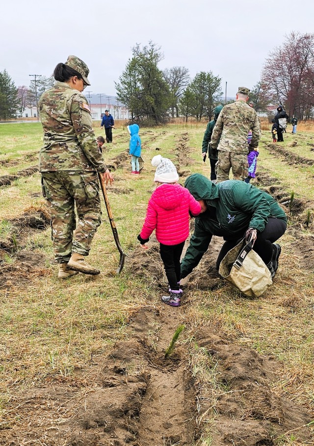 Fort McCoy community members plant trees April 25, 2025, during a tree-planting event at Fort McCoy, Wis. Dozens of community members planted 500 trees on the installation cantonment to establish a tree break. The installation also received its...
