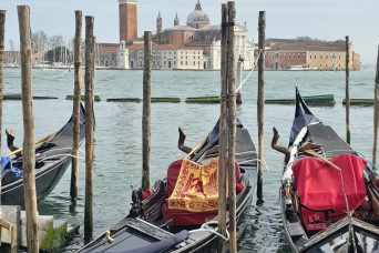 Venice Access Fee: FAQ's
