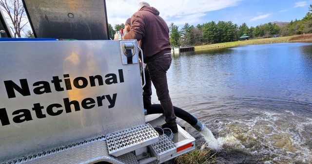U.S. Fish and Wildlife Service (USFWS) employees stock rainbow trout April 23, 2025, in Suukjak Sep Lake on North Post at Fort McCoy, Wis. Approximately 15,000 rainbow trout were stocked at several lakes and ponds at Fort McCoy by the USFWS Genoa...