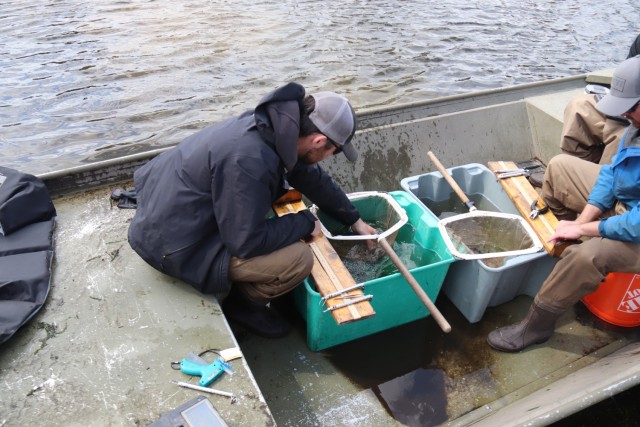 Watershed Management Biologist Derek Maki and Watershed Management Specialists Jaden Gallardo and Trenton Foreman with Colorado State University conduct a fish survey April 22, 2025, at Stillwell Lake on South Post at Fort McCoy, Wis. They...