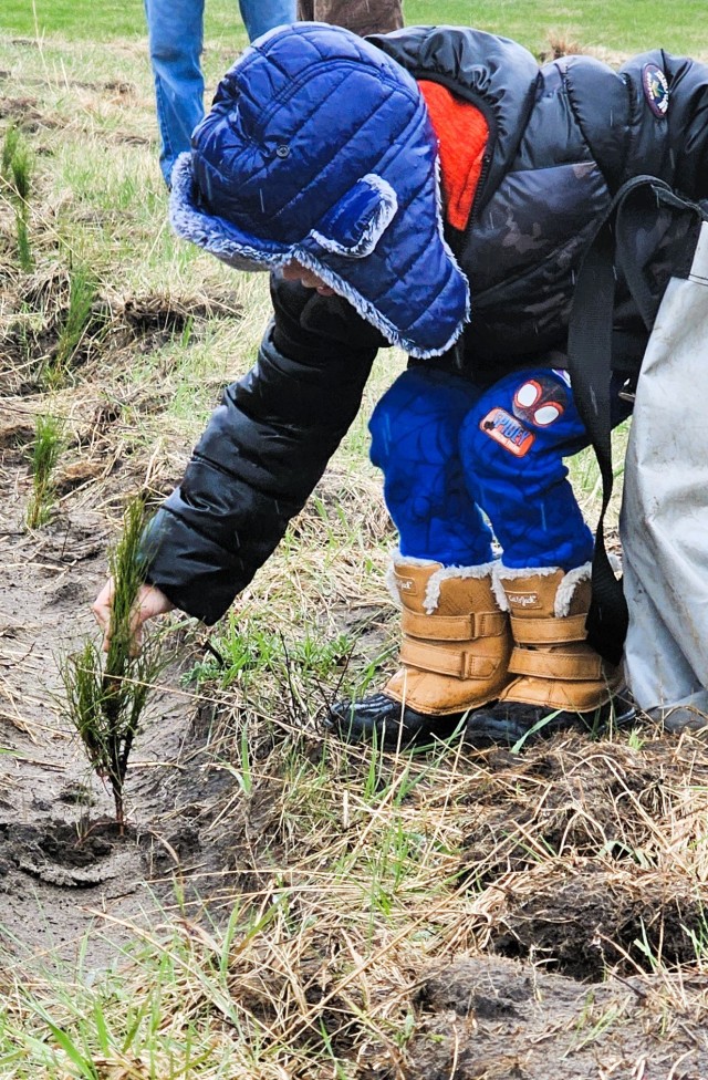 Fort McCoy community members plant trees April 25, 2025, during a tree-planting event at Fort McCoy, Wis. Dozens of community members planted 500 trees on the installation cantonment to establish a tree break. The installation also received its...