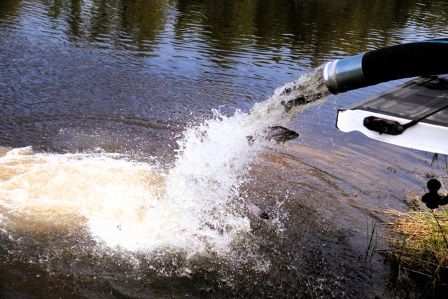 U.S. Fish and Wildlife Service (USFWS) employees stock rainbow trout April 23, 2025, in Suukjak Sep Lake on North Post at Fort McCoy, Wis. Approximately 15,000 rainbow trout were stocked at several lakes and ponds at Fort McCoy by the USFWS Genoa...