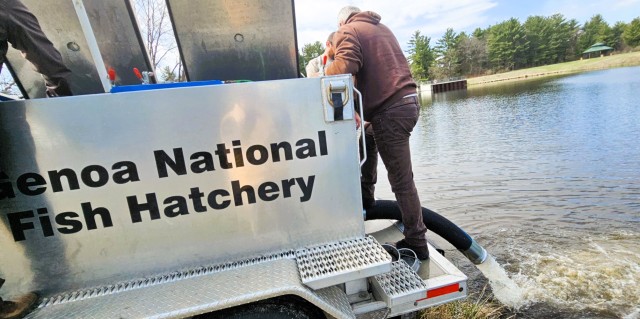 U.S. Fish and Wildlife Service (USFWS) employees stock rainbow trout April 23, 2025, in Suukjak Sep Lake on North Post at Fort McCoy, Wis. Approximately 15,000 rainbow trout were stocked at several lakes and ponds at Fort McCoy by the USFWS Genoa...